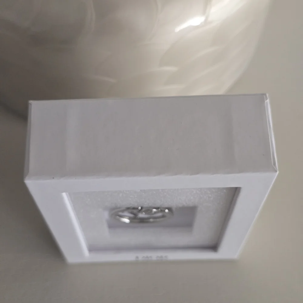 Dior this silver